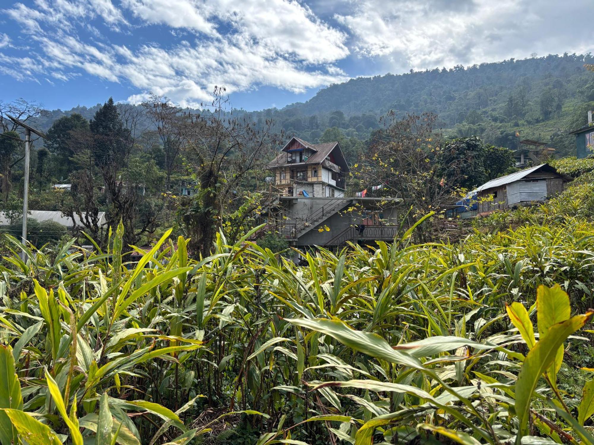Odyssey'S Darap Eco Retreat Pelling Exterior foto