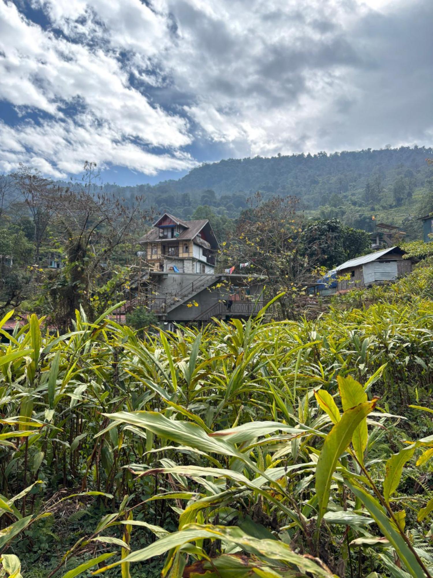 Odyssey'S Darap Eco Retreat Pelling Exterior foto
